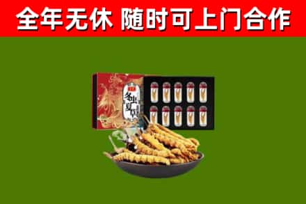 丽江市回收冬虫夏草价格
