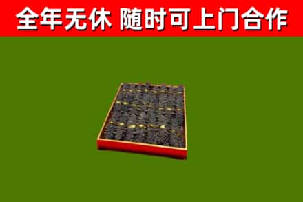丽江市回收海参